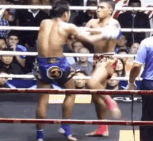 Muay Thai Sweep GIF - Muay Thai Sweep Knock Out GIFs