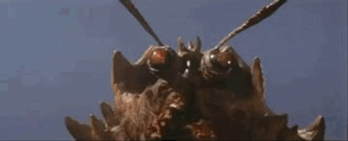 Space Amoeba Ganimes Gif Space Amoeba Ganimes Shot In The Eye Discover Share Gifs