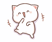 mochi laugh cat