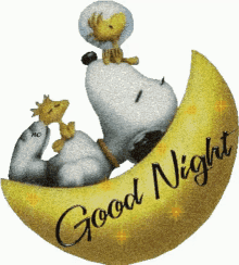 Good Night Snoopy GIF - Good Night Snoopy Glitters GIFs
