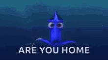 dory are you there you home are you home