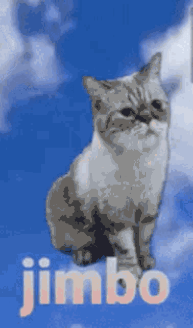 Jimbo Kucing GIF - Jimbo Kucing Lucu GIFs