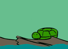 turtle dragonfly turtle dragonfly