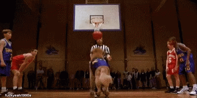 Air Bud GIFs | Tenor