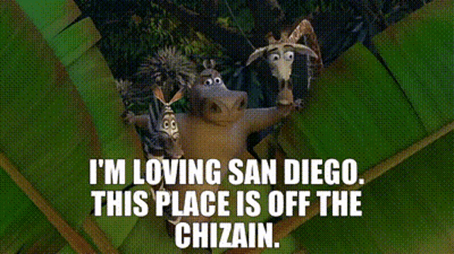 Madagascar Marty GIF - Madagascar Marty Im Loving San Diego GIFs