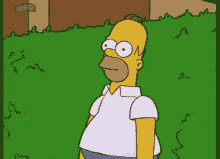 simpson homer