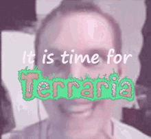 It Is Time For Terraria GIF - It Is Time For Terraria Terraria GIFs