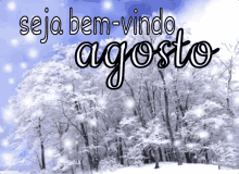 Inverno / Agosto Seja Bem-vindo / Calendário / Meses / Ano GIF - Winter Snow August GIFs