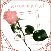 Ninisjgufi Rose GIF - Ninisjgufi Rose Pink GIFs