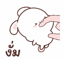 tkthao219 rabbit