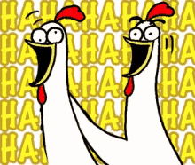 Chicken Bro Hahaha GIF - Chicken Bro Chicken Hahaha GIFs
