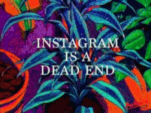 Instagram Is A Dead End Garden GIF - Instagram Is A Dead End Garden Graphic Art GIFs