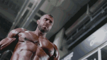 Working Out Body Builder GIF - Working Out Body Builder Gym Body GIFs