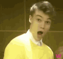 mikolas josef