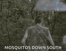 Mosquito Giant GIF - Mosquito Giant GIFs