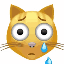 catty meow