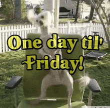 One Day Til Friday Thursday GIF - One Day Til Friday Thursday Dog GIFs