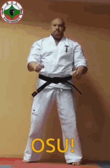 Kyokushin Ryu Osu GIF - Kyokushin Ryu Osu GIFs