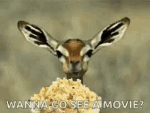 wanna go see a movie popcorn deer