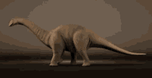 Dinosaur GIF - Dinosaur GIFs