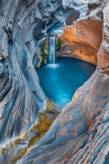 nature nature