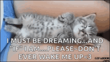 Dream Sleep GIF - Dream Sleep Cat GIFs