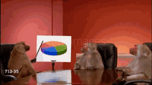 Baboon Graph GIF - Baboon Graph GIFs