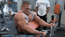 Body Builder Muscles GIF - Body Builder Muscles Lift GIFs