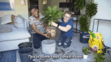 This Is Some Root Construction Gardening GIF - This Is Some Root Construction Gardening Planting GIFs