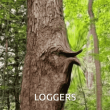 Loggers Poggers GIF - Loggers Poggers Hi V GIFs