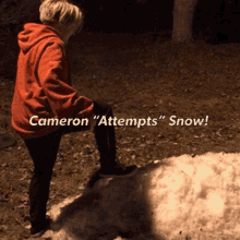 Cameron Attempts Snow Cameron Climbs Snow GIF - Cameron Attempts Snow Cameron Climbs Snow Step GIFs