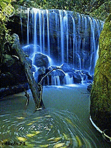 Waterfall Falls GIF - Waterfall Falls River GIFs