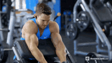 Biceps Workout Work Out GIF - Biceps Workout Work Out Getting Fit GIFs