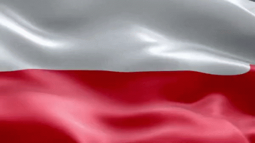 Poland Polish GIF - Poland Polish Flag - Discover & Share GIFs