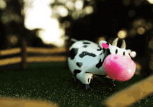 Excited Cow GIF - Excited Cow Happy GIFs