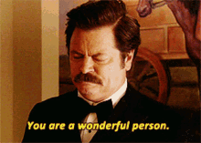 You Are Wonderful Person Parks And Recreation GIF - You Are Wonderful Person Wonderful Parks And Recreation GIFs