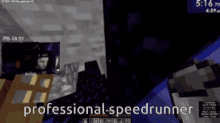 punz speedrunning minecraft dream smp