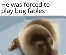 He Was Forced To Play Bug Fables GIF - He Was Forced To Play Bug Fables GIFs