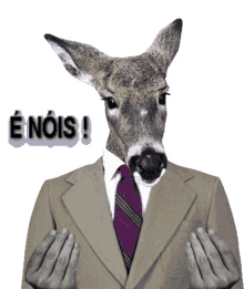 burros jumentada