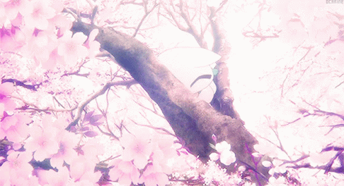 Sakura GIF - Sakura - Discover & Share GIFs