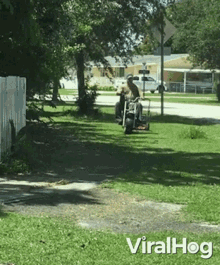 A Clever Way To Mow A Lawn Viralhog GIF - A Clever Way To Mow A Lawn Viralhog Cutting Grass GIFs