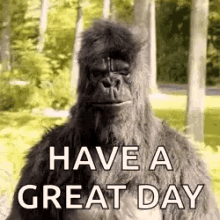 Gorilla Yes GIF - Gorilla Yes Thumbs Up GIFs