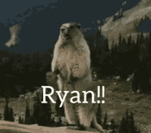 Yell Ryan GIF - Yell Ryan Gopher GIFs