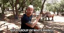 Huge Group Of White Rhinos Dean Schneider GIF - Huge Group Of White Rhinos Dean Schneider Dean Schneider Vlog GIFs