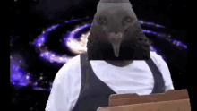 picondance