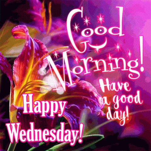 Happy Wednesday Gm GIF - Happy Wednesday Gm Wednesday - Discover & Share  GIFs