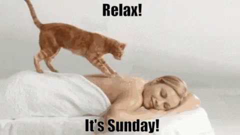 Relax Its Sunday Massage GIF - Relax Its Sunday Massage Cats - Discover &amp;  Share GIFs
