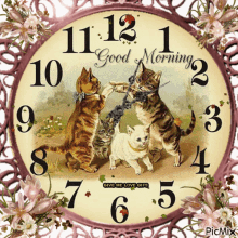 Good Morning Cats GIF - Good Morning Cats Catching The Last One In The Line GIFs