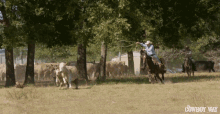 Cattle Roping The Cowboy Way Alabama GIF - Cattle Roping The Cowboy Way Alabama Buck Up Cowboy GIFs