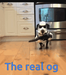 The Real Og Dog GIF - The Real Og Dog Gun GIFs